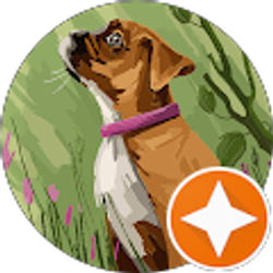 Profile photo of Jefferson davis