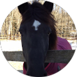 Profile photo of Lillian Monahan