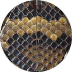 Profile photo of Kitahara