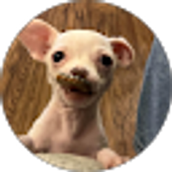 Profile photo of Evan Sandoval