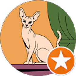 Profile photo of Veronica Macedonio