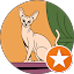 Profile photo of Veronica Macedonio