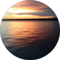 Profile photo of Susan Blair