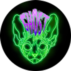 Profile photo of Austin Chavez