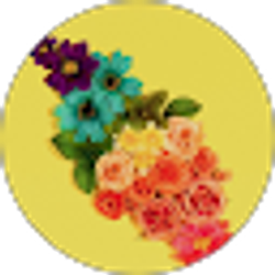 Profile photo of Rachelena DeFalco
