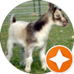 Profile photo of M J Couto