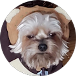 Profile photo of Elizabeth Gould Foster