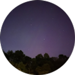 Profile photo of Kelly Evans