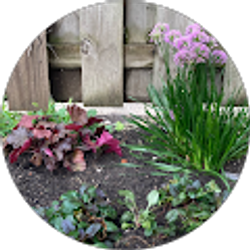 Profile photo of Mabel Belinski