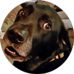 Profile photo of Kelley Sanchez