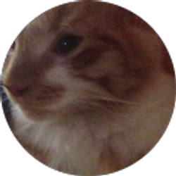 Profile photo of Anna Faircloth