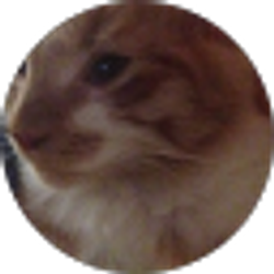 Profile photo of Anna Faircloth