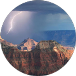 Profile photo of Dominic Lammers