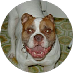 Profile photo of keith