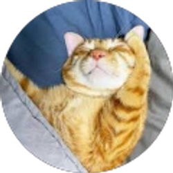 Profile photo of Scott Hendrickson