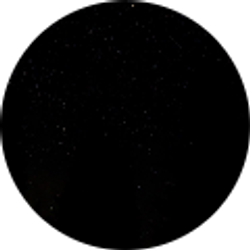 Profile photo of Jagger S