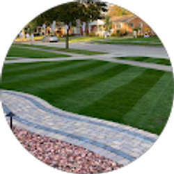 Profile photo of Dominick Wieczorek