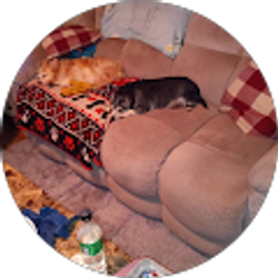 Profile photo of JoAnn Bough