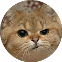 Profile photo of Angelina