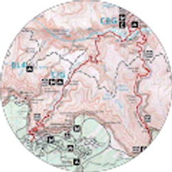 Profile photo of Steve Harvey