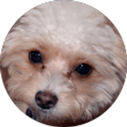 Profile photo of Harvey Tripp