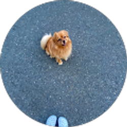 Profile photo of Daniela Gutierrez