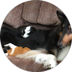 Profile photo of Abbie Donald