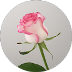 Profile photo of Lisa F