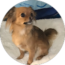Profile photo of oldiesaubrey