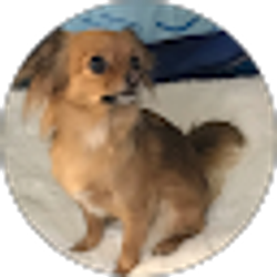 Profile photo of oldiesaubrey