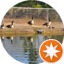 Profile photo of LAURA JOHNSON