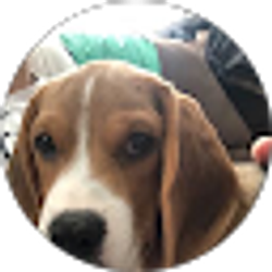 Profile photo of Devyn Davis