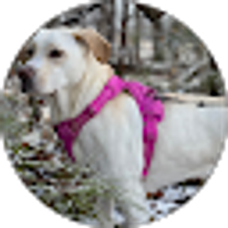 Profile photo of Lily Wilson