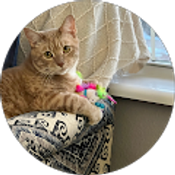 Profile photo of Terry Friesth