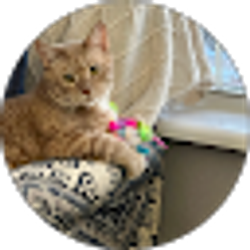 Profile photo of Terry Friesth