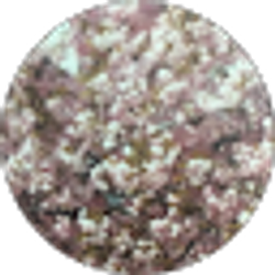Profile photo of M T