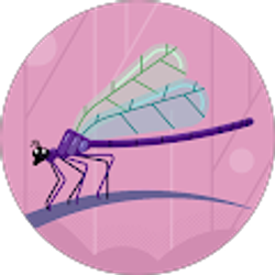 Profile photo of Jessica Rodgers