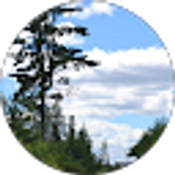 Profile photo of Simon Brooks