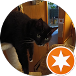 Profile photo of Shawn Hasty