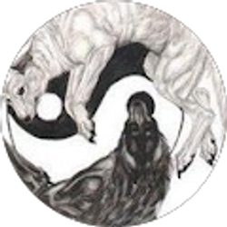 Profile photo of Stephanie Lane