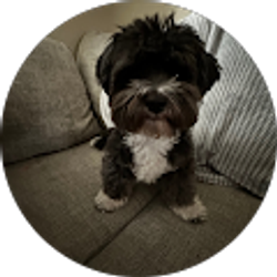 Profile photo of Rafael Pinos