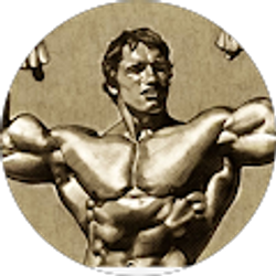 Profile photo of Salwan Alawsy