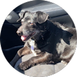 Profile photo of Amanda Rellergert