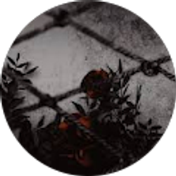 Profile photo of Valeria Robles