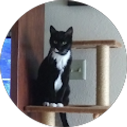 Profile photo of Lindsay Darling