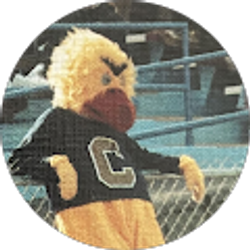 Profile photo of Dan Orcutt