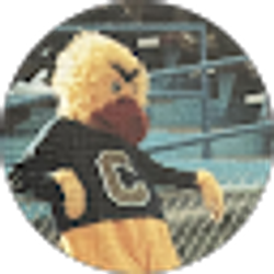 Profile photo of Dan Orcutt