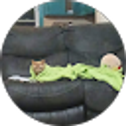 Profile photo of Elijah Jackson