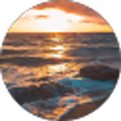 Profile photo of Tracy Thompson