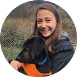 Profile photo of Sarah Gerson